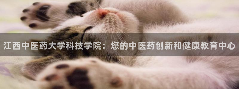 九游会进不去了