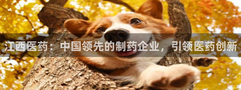 九游会软件