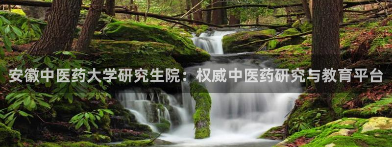 九游会ag老哥