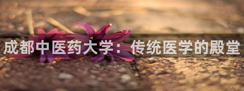 九游会ag私享