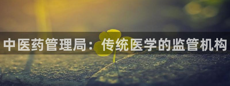 J9九游会强势登录