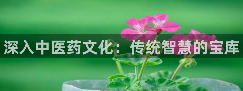 j9官网登录入口网页