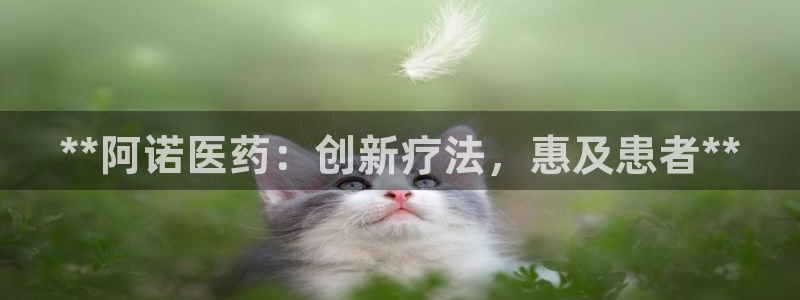 九游会j9官网登陆