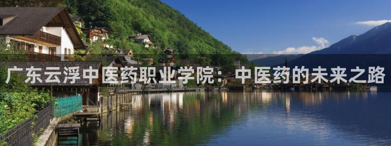九游会是不是黑网