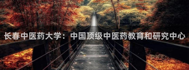 九游会平台王一博泰国