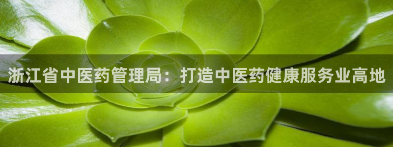 九游会平台老哥俱乐部