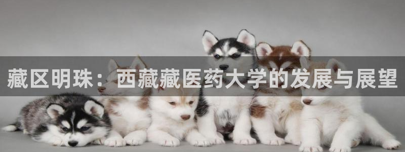 九游会登陆中心
