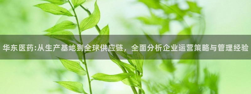 J9九游会强势登录