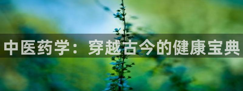 九游会AG登录中心(中国)官方网站