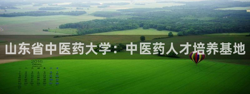九游会中国j9 09.ag