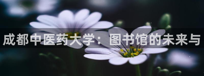 九游会官方网址