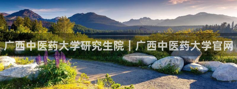 J9九游会官网app