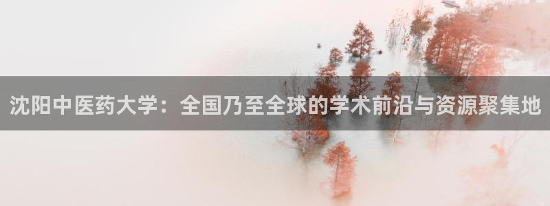 九游会中国入口嘛