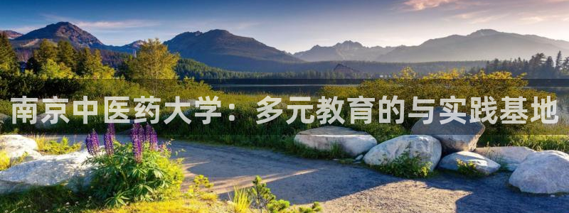 九游会游戏app
