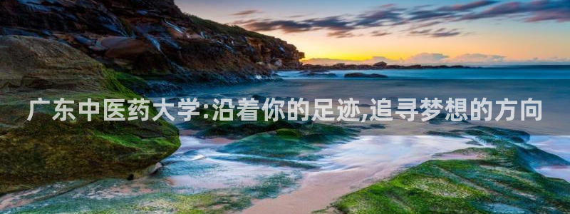 九游会关服吗