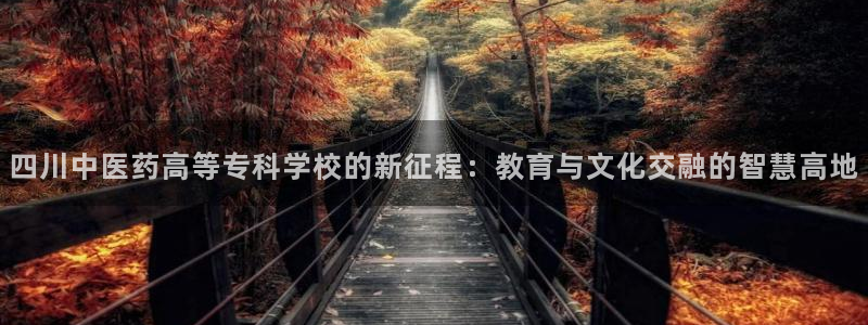 九游会倒闭