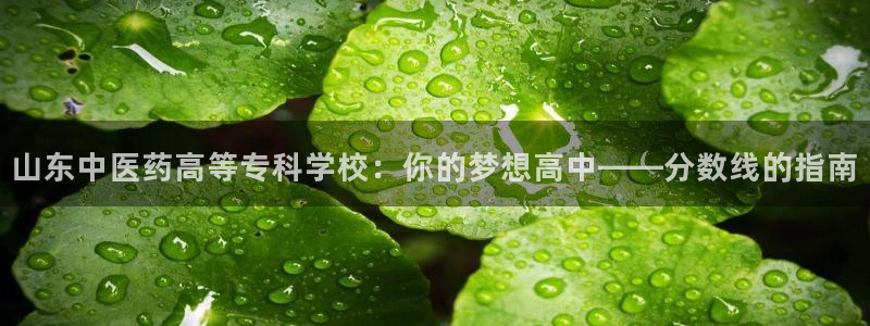 九游会不会凉