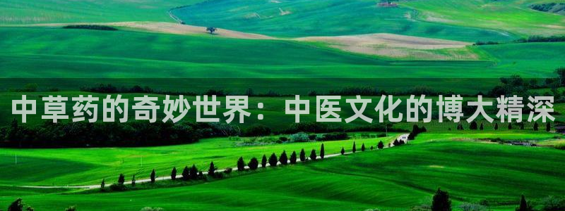 九游会官网首页入口