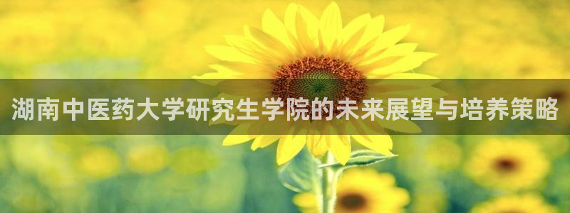 九游会是干嘛的